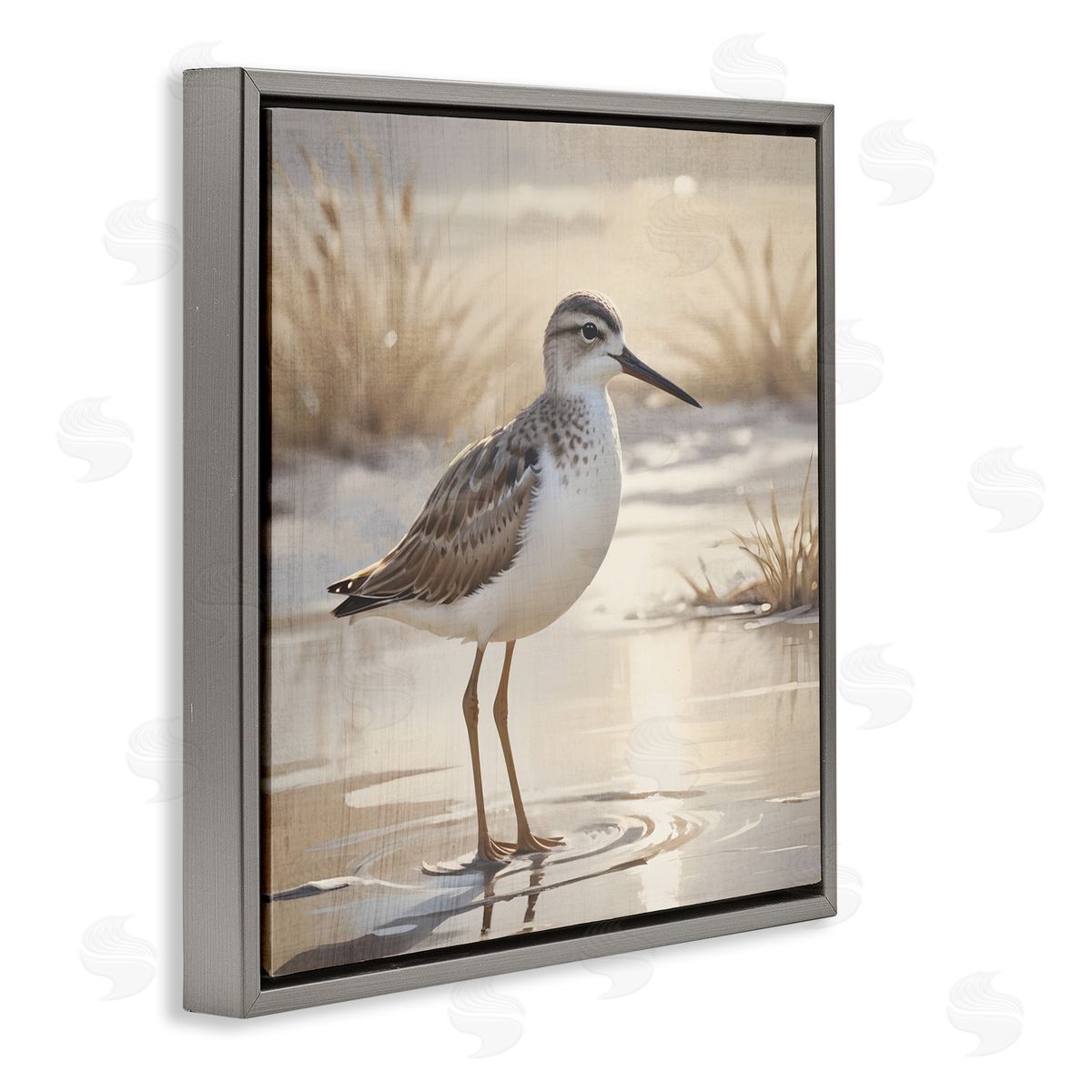Susan Arnot Sunlit Sandpiper in Shallow Water Gray Floating Frame Canvas Art Print
