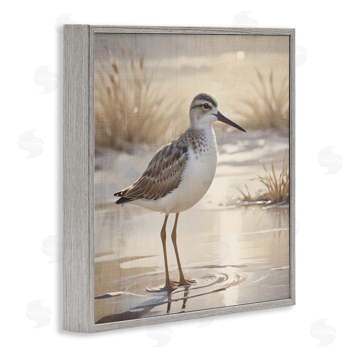Susan Arnot Sunlit Sandpiper in Shallow Water Gray Framed Giclee Art Print
