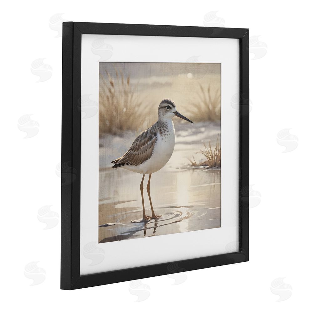 Susan Arnot Sunlit Sandpiper in Shallow Water Black Framed Print Under Glass Art