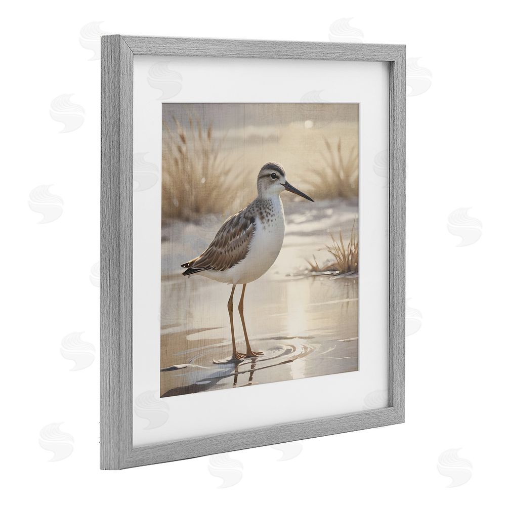 Susan Arnot Sunlit Sandpiper in Shallow Water Gray Framed Print Under Glass Art