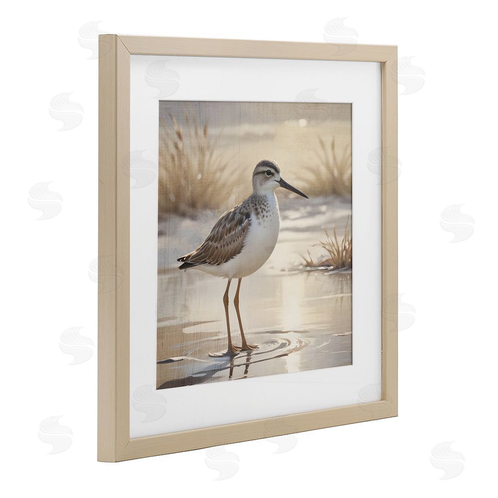 Susan Arnot Sunlit Sandpiper in Shallow Water Birch Framed Print Under Glass Art