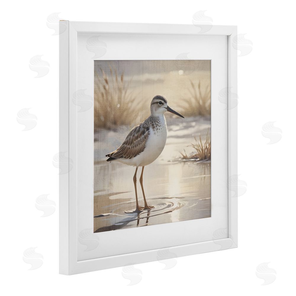 Susan Arnot Sunlit Sandpiper in Shallow Water White Framed Print Under Glass Art