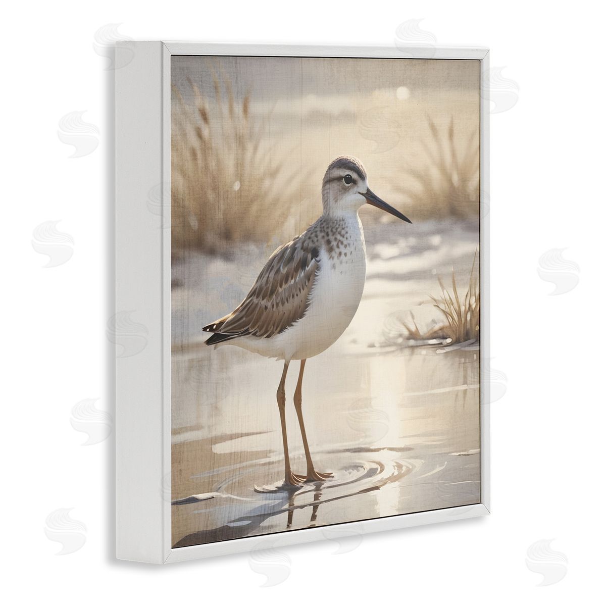 Susan Arnot Sunlit Sandpiper in Shallow Water White Frame Giclee Art Print