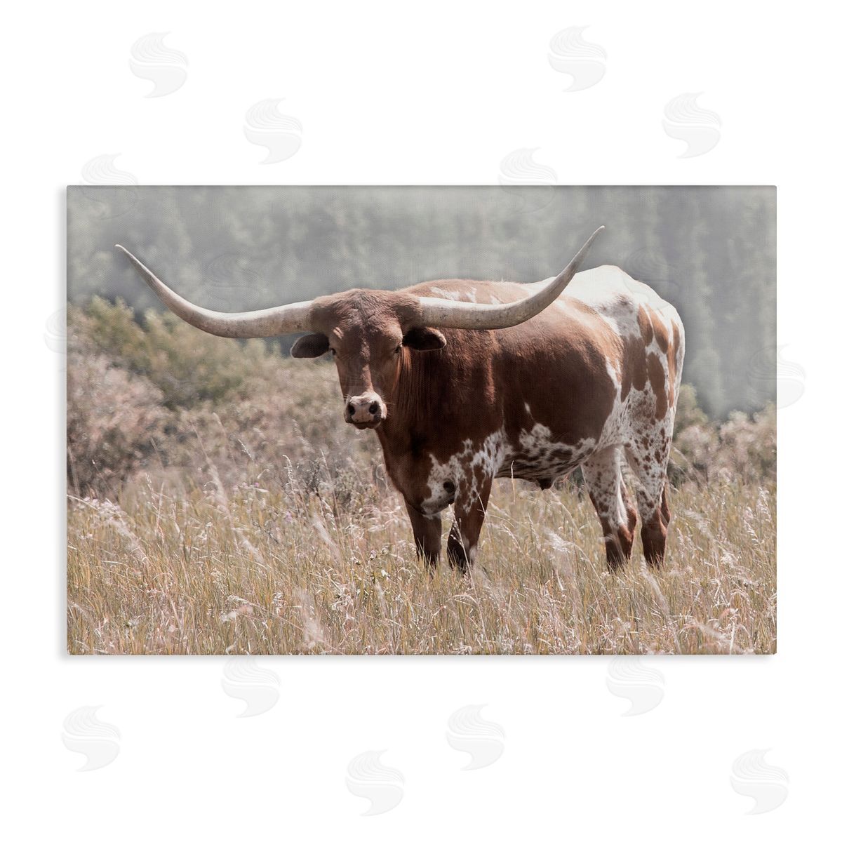 Carol Robinson Texas Longhorn Photograph Canvas Wall Art Print