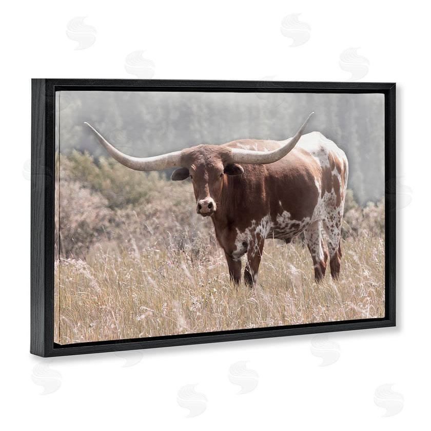 Carol Robinson | Texas Longhorn Photograph