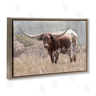 Carol Robinson | Texas Longhorn Photograph