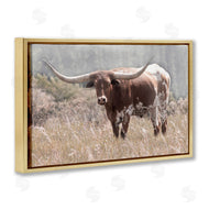 Carol Robinson | Texas Longhorn Photograph