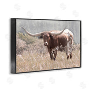 Carol Robinson | Texas Longhorn Photograph