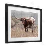 Carol Robinson | Texas Longhorn Photograph