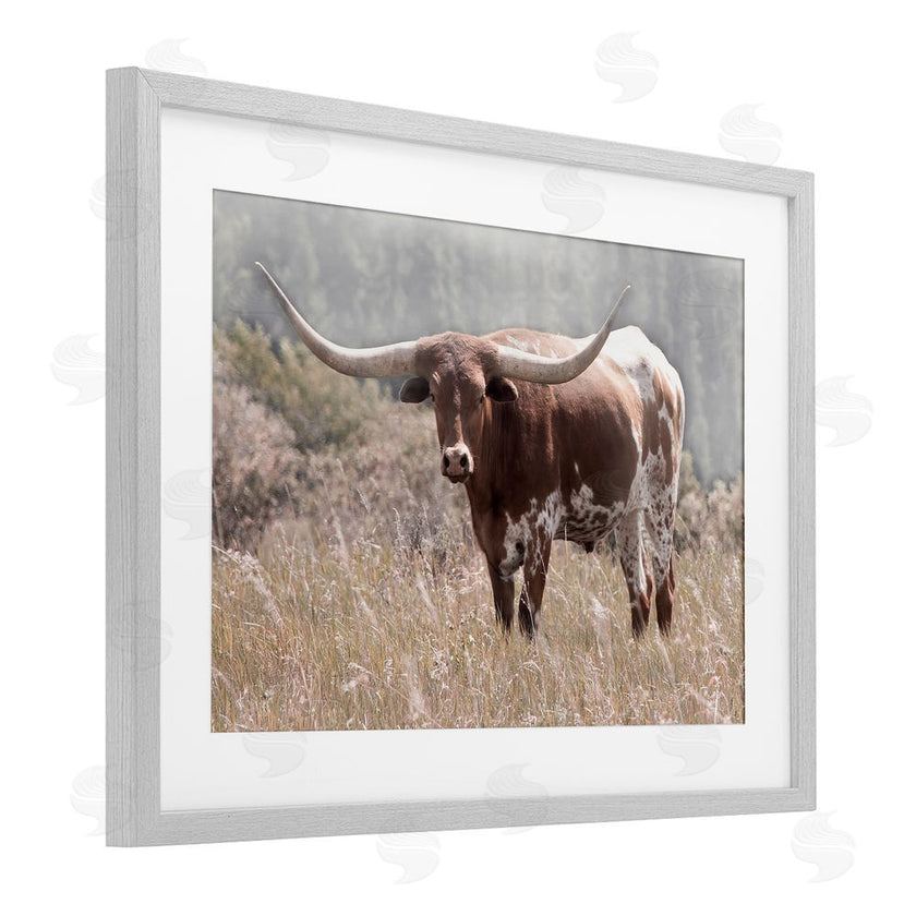 Carol Robinson | Texas Longhorn Photograph