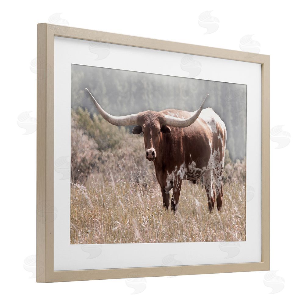 Carol Robinson Texas Longhorn Photograph Birch Framed Print Under Glass Art