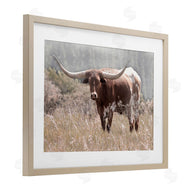 Carol Robinson | Texas Longhorn Photograph