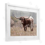 Carol Robinson | Texas Longhorn Photograph