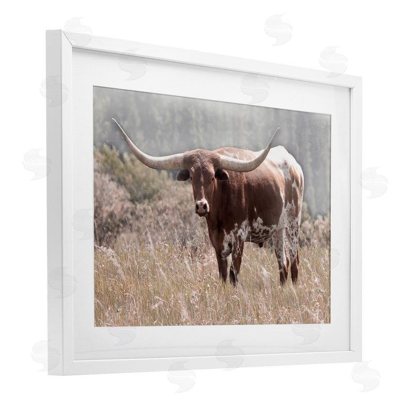 Carol Robinson | Texas Longhorn Photograph