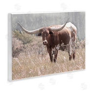 Carol Robinson | Texas Longhorn Photograph