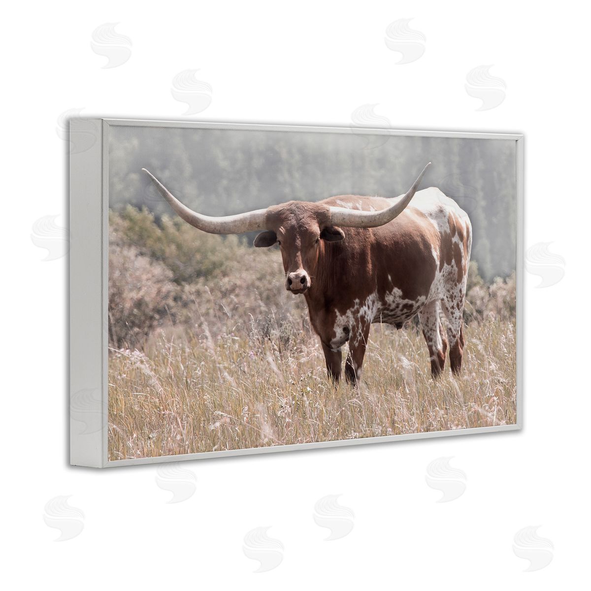 Carol Robinson Texas Longhorn Photograph White Frame Giclee Art Print