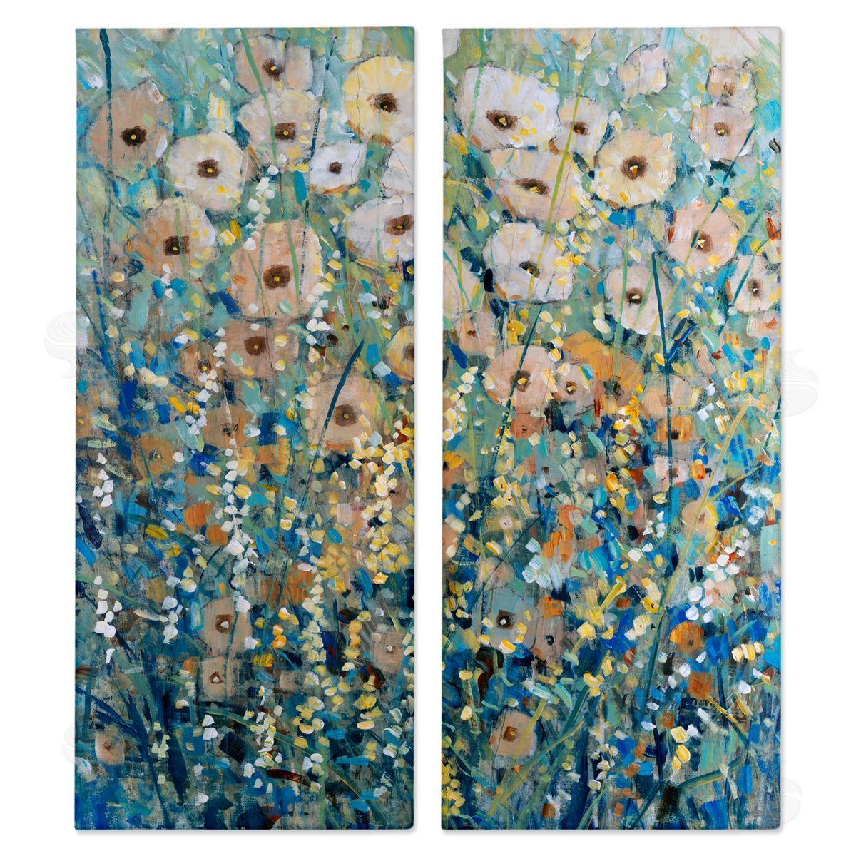 Tim OToole | Sunny Field of Flowers