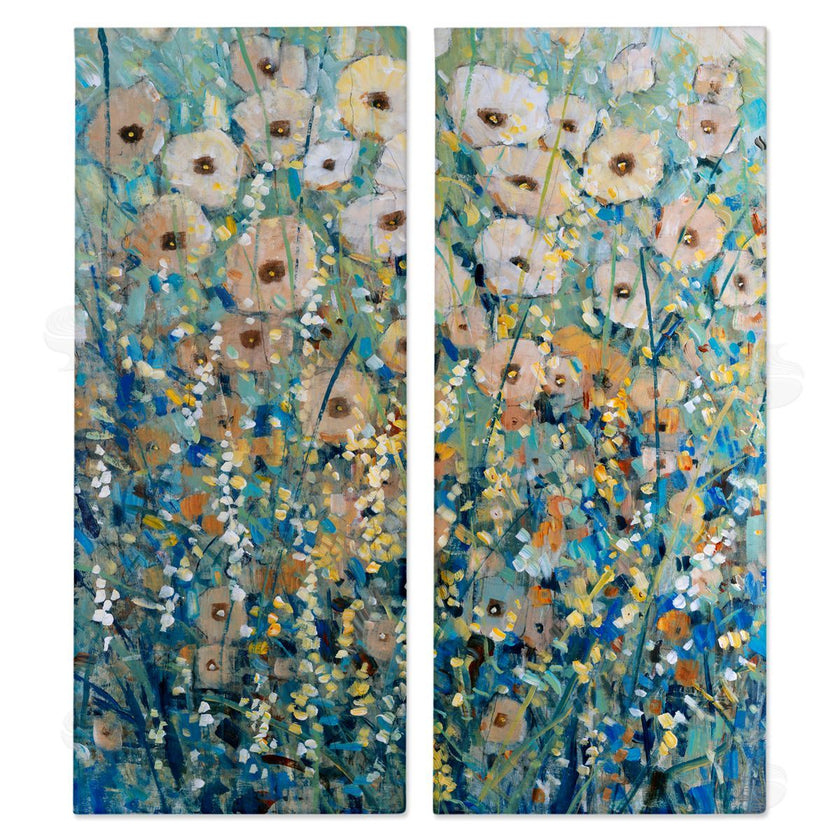 Tim OToole | Sunny Field of Flowers