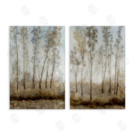 Tim OToole | Woodland with Natural Light