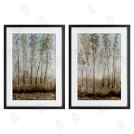 Tim OToole | Woodland with Natural Light