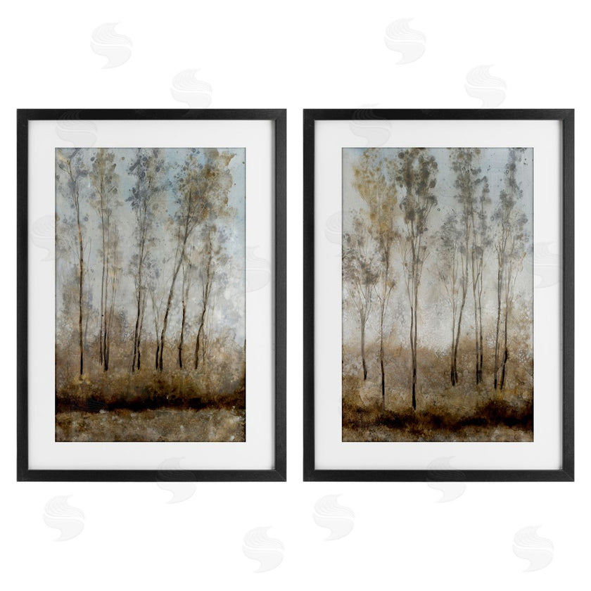 Tim OToole | Woodland with Natural Light