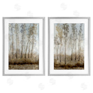 Tim OToole | Woodland with Natural Light