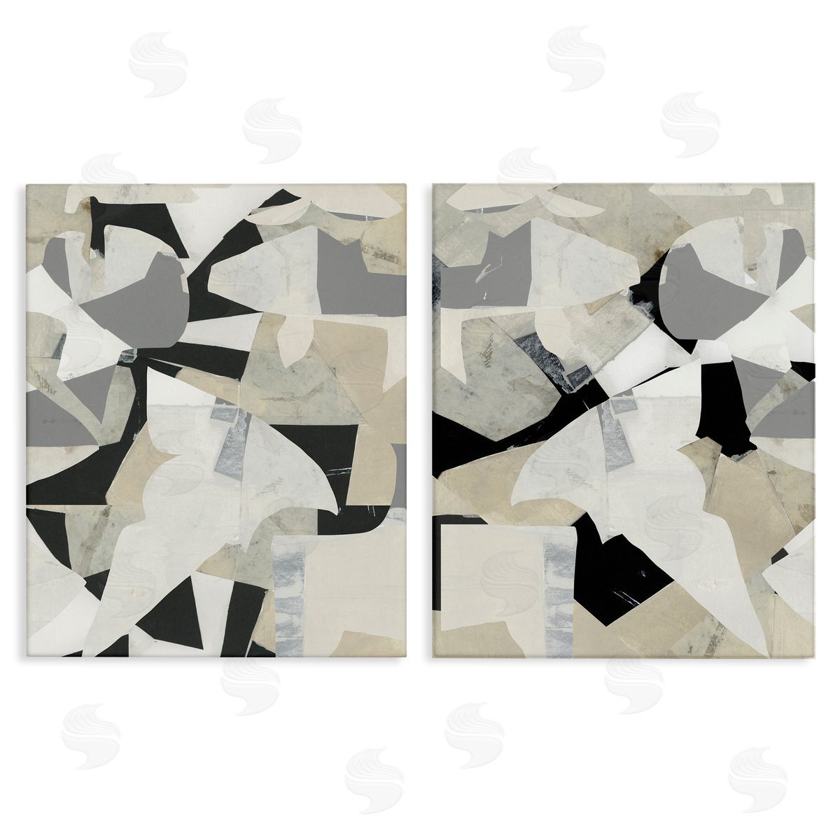 Cartissi | Fragmented Monochrome Falls