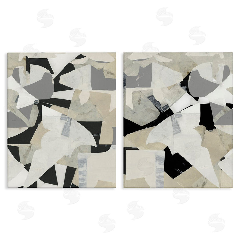 Cartissi | Fragmented Monochrome Falls
