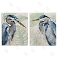 Kim Allen | Heron Palms Tropical Plants