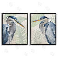 Kim Allen | Heron Palms Tropical Plants
