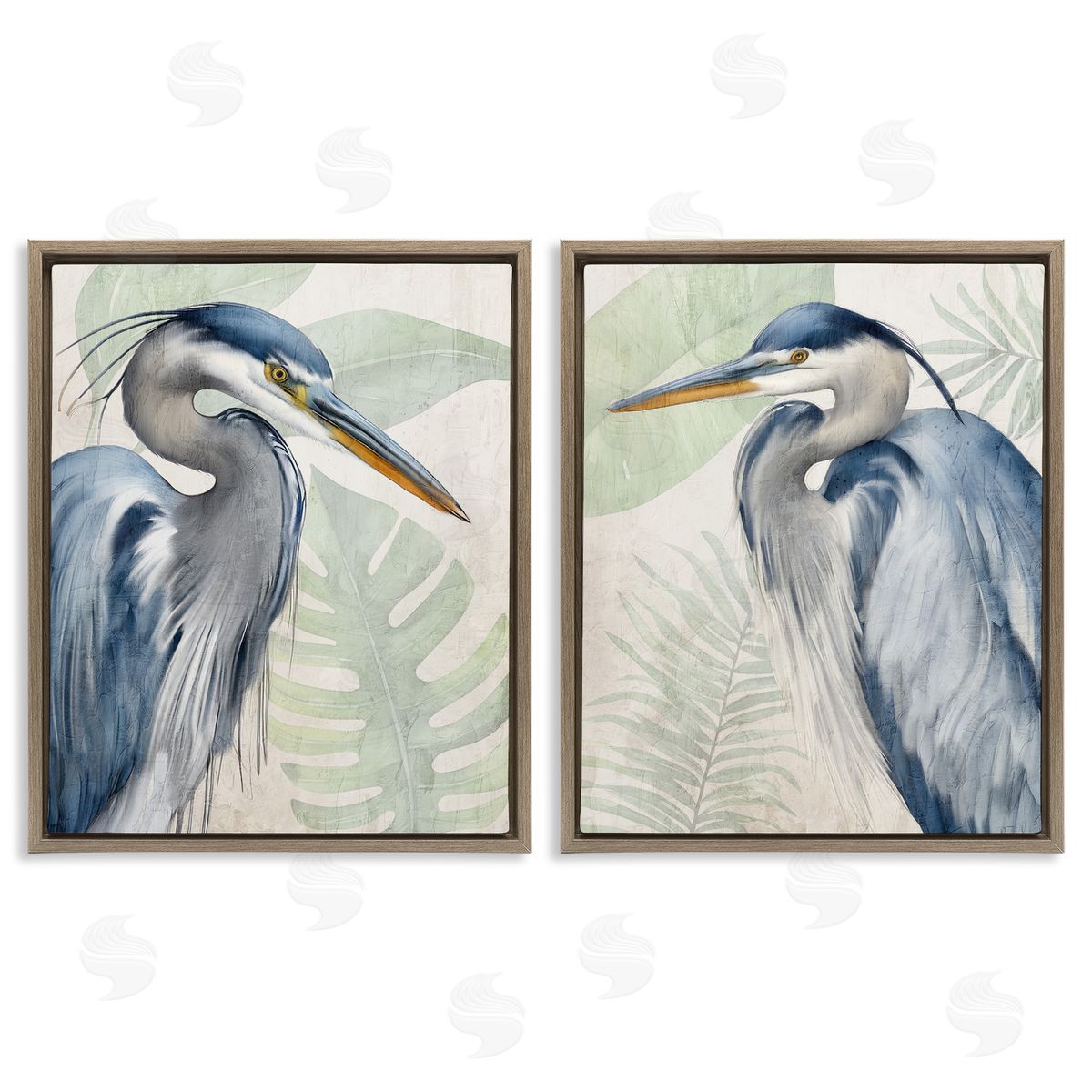 Kim Allen | Heron Palms Tropical Plants