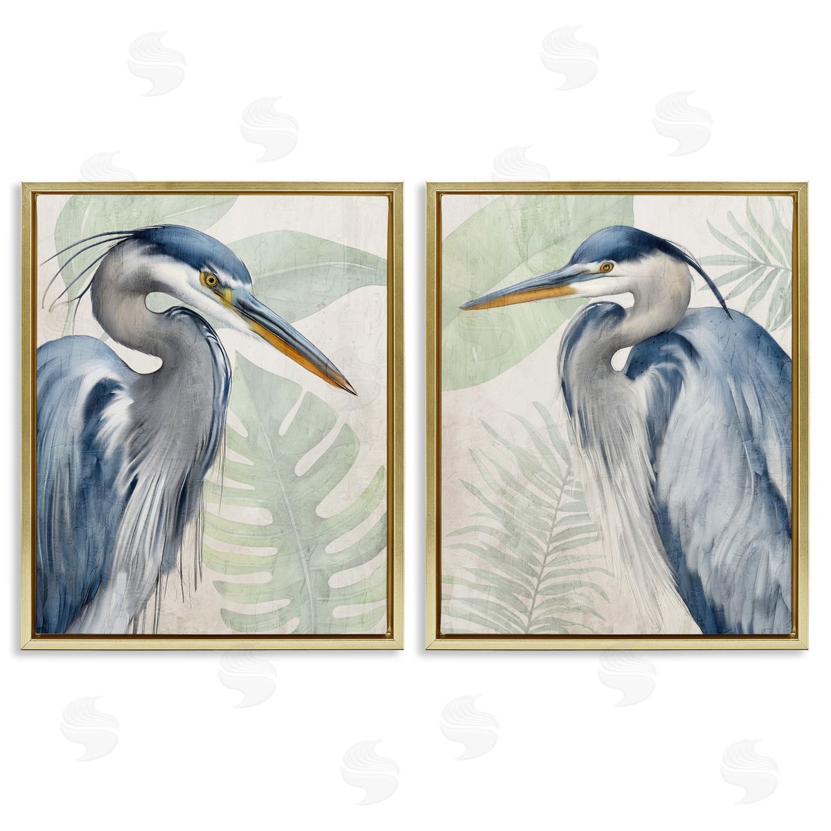 Kim Allen | Heron Palms Tropical Plants