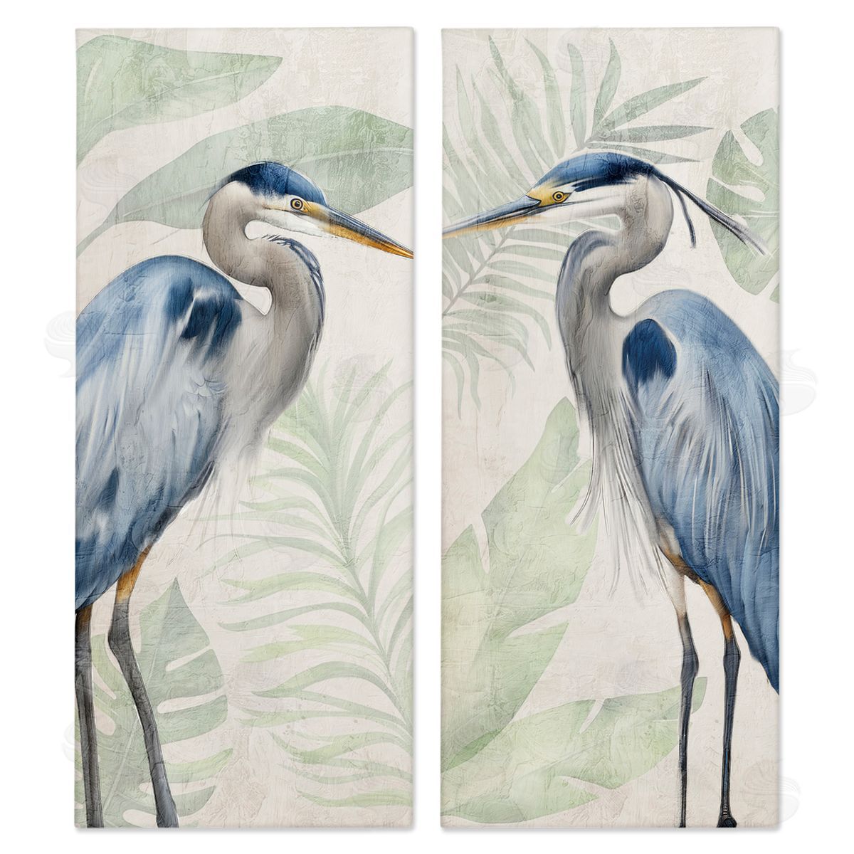 Kim Allen | Heron Portraits Palm Plants