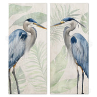 Kim Allen | Heron Portraits Palm Plants
