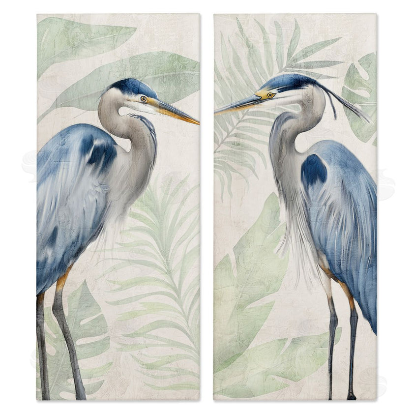 Kim Allen | Heron Portraits Palm Plants