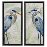 Kim Allen | Heron Portraits Palm Plants