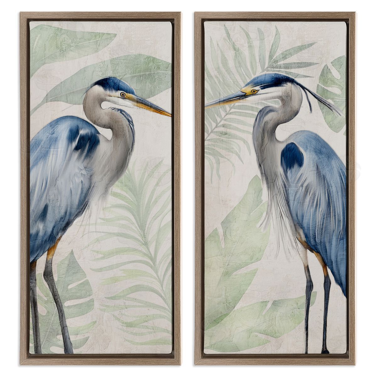 Kim Allen | Heron Portraits Palm Plants