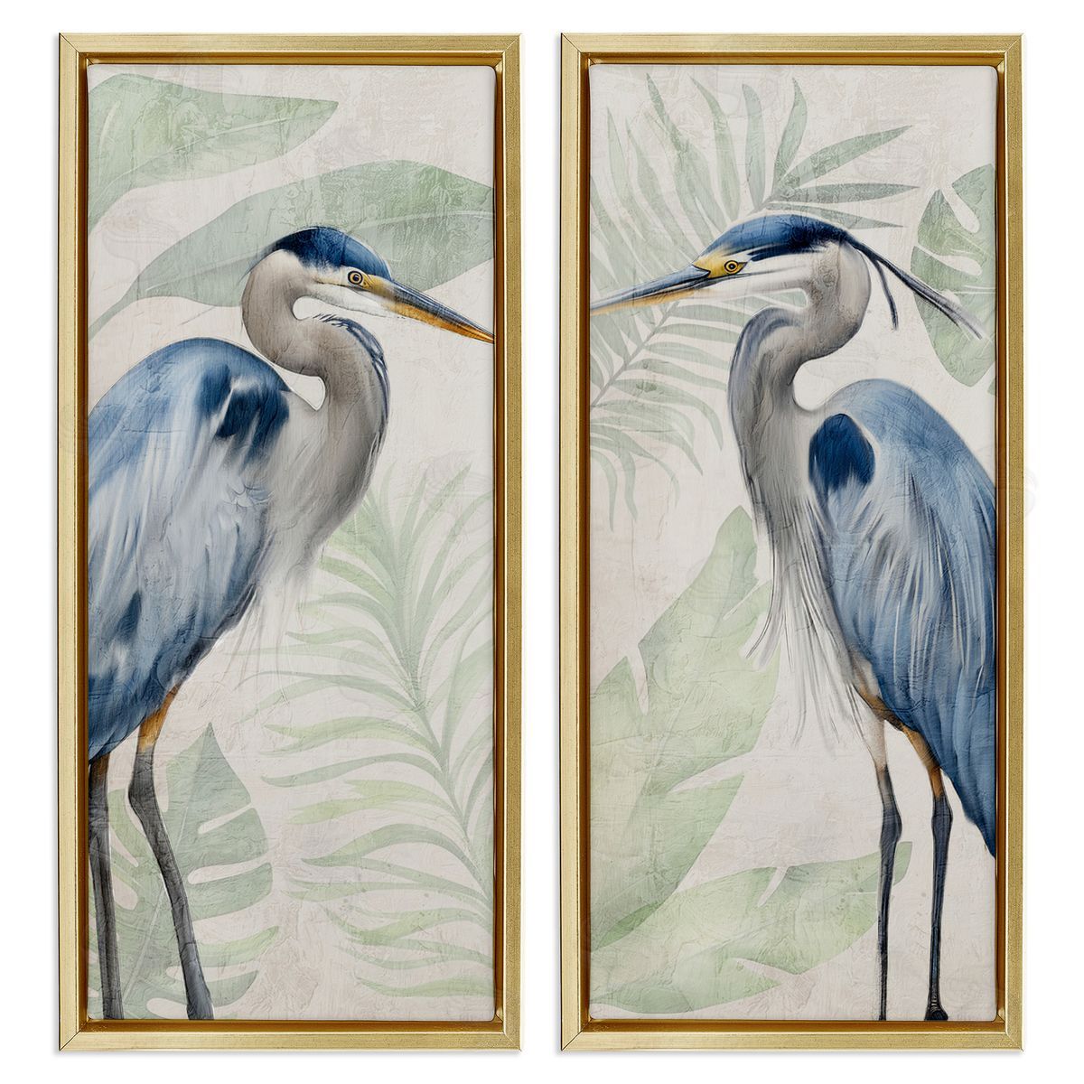 Kim Allen | Heron Portraits Palm Plants