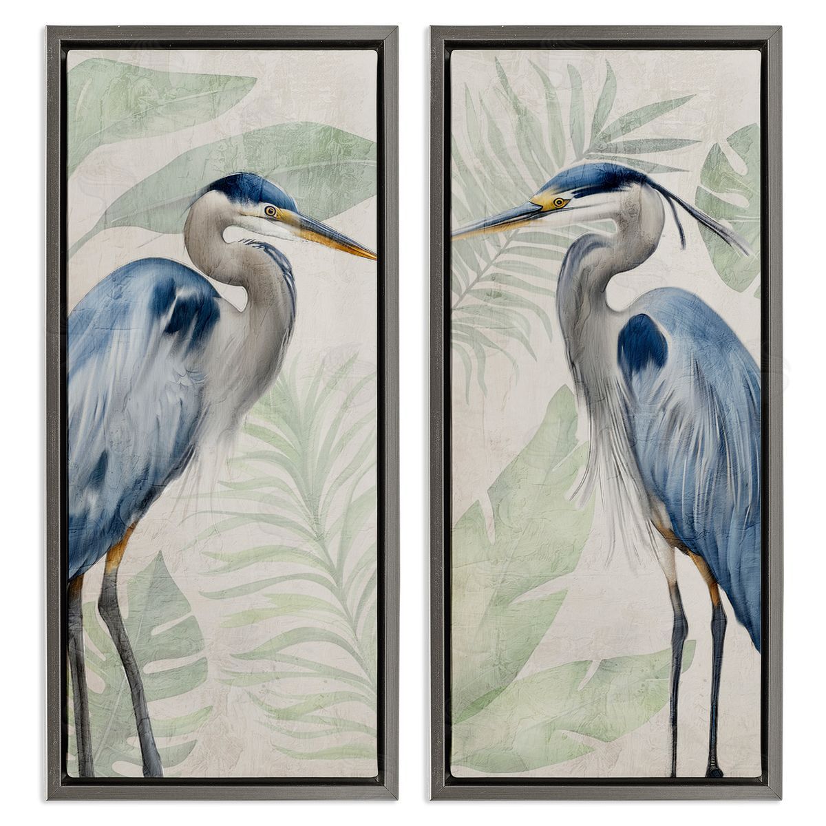 Kim Allen | Heron Portraits Palm Plants