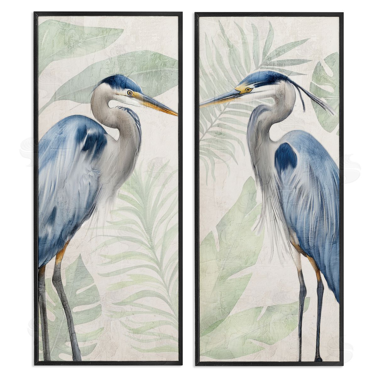 Kim Allen | Heron Portraits Palm Plants