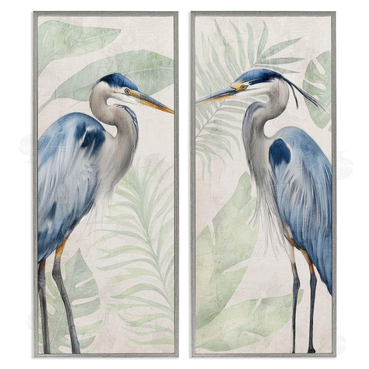 Kim Allen | Heron Portraits Palm Plants