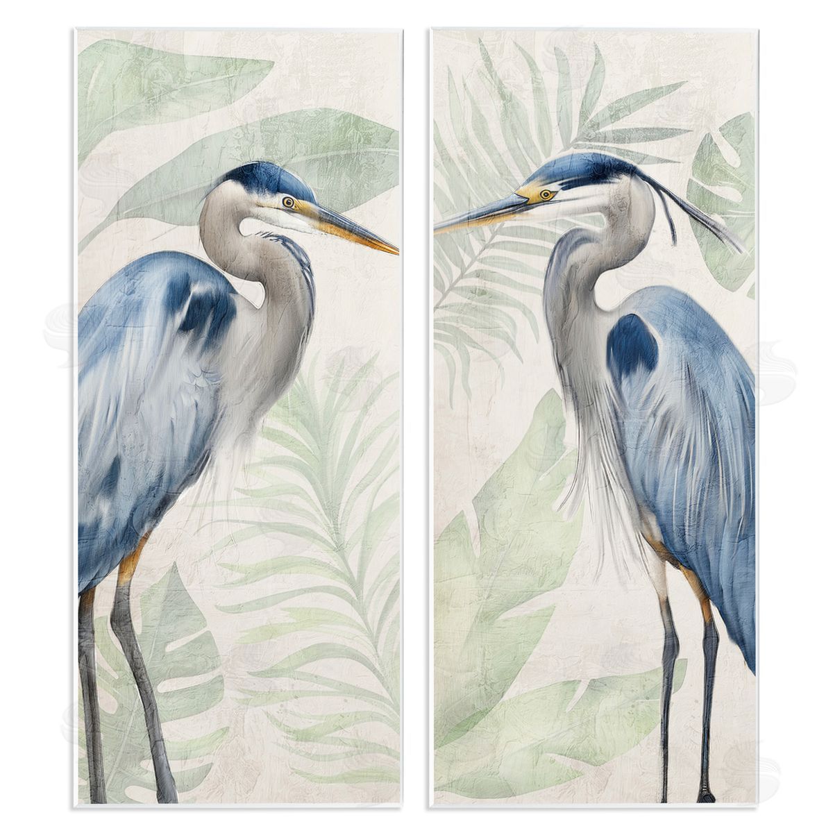 Kim Allen | Heron Portraits Palm Plants