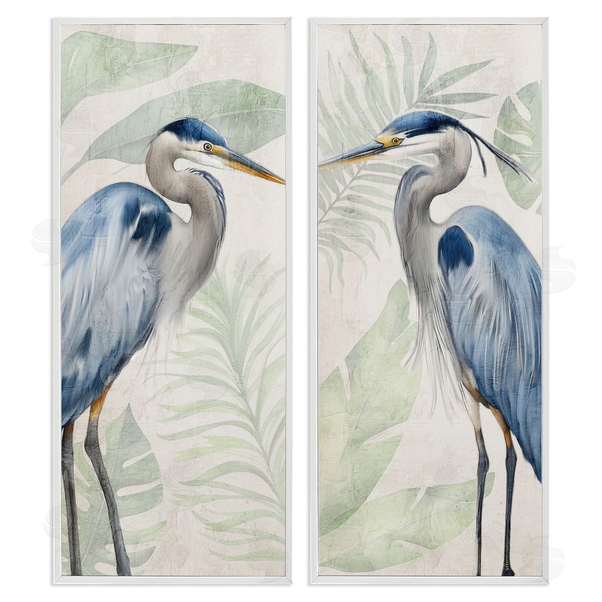 Kim Allen | Heron Portraits Palm Plants