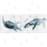 Marcus Prime | Blue Weathered Turtle Portraits