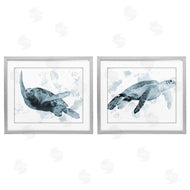 Marcus Prime | Blue Weathered Turtle Portraits