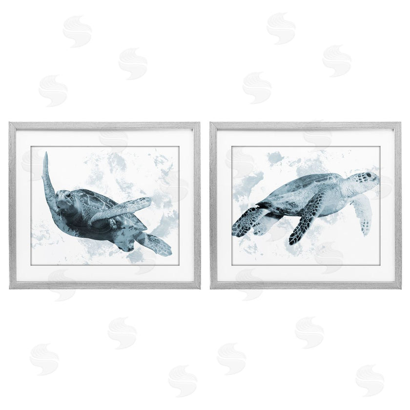 Marcus Prime | Blue Weathered Turtle Portraits