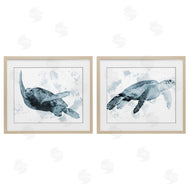 Marcus Prime | Blue Weathered Turtle Portraits