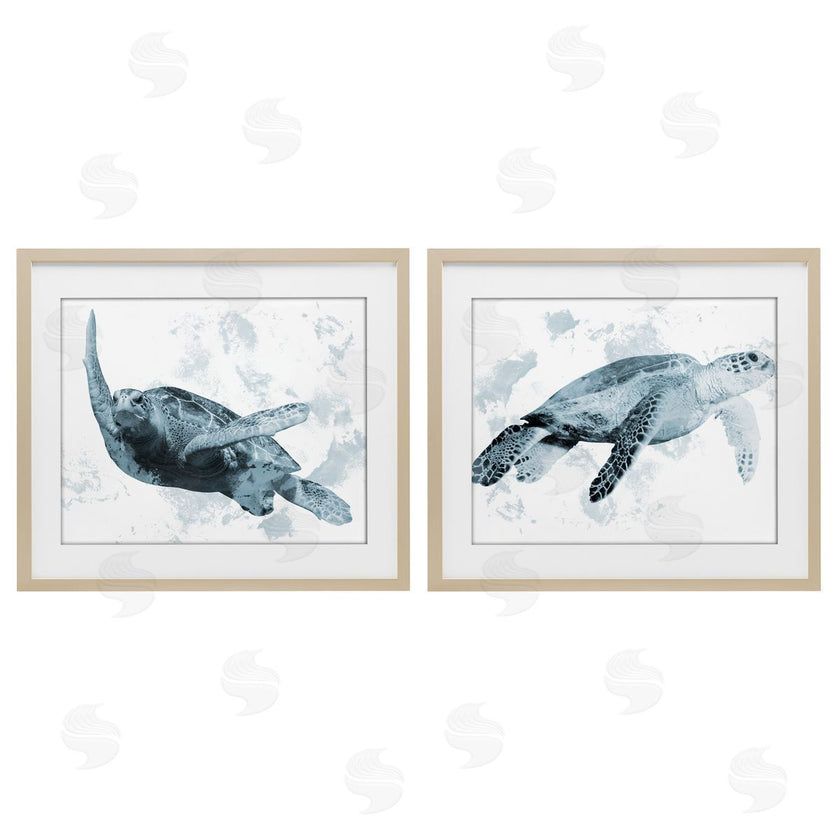 Marcus Prime | Blue Weathered Turtle Portraits