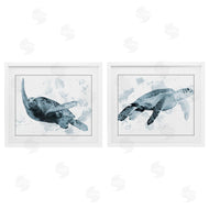 Marcus Prime | Blue Weathered Turtle Portraits