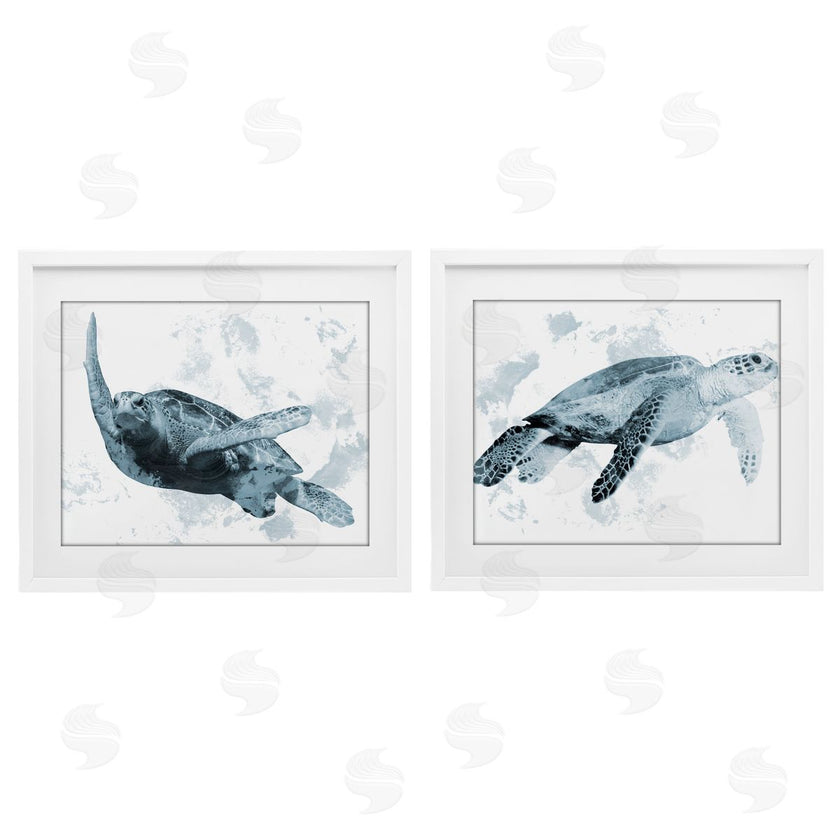Marcus Prime | Blue Weathered Turtle Portraits